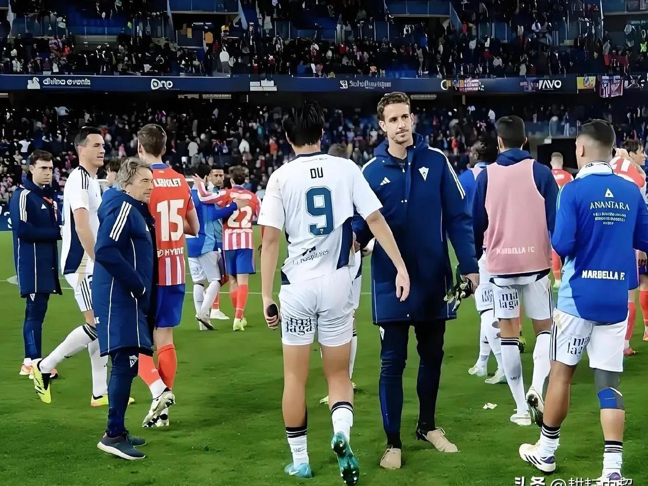 澳洲顶尖球队在比赛中展现出色表现