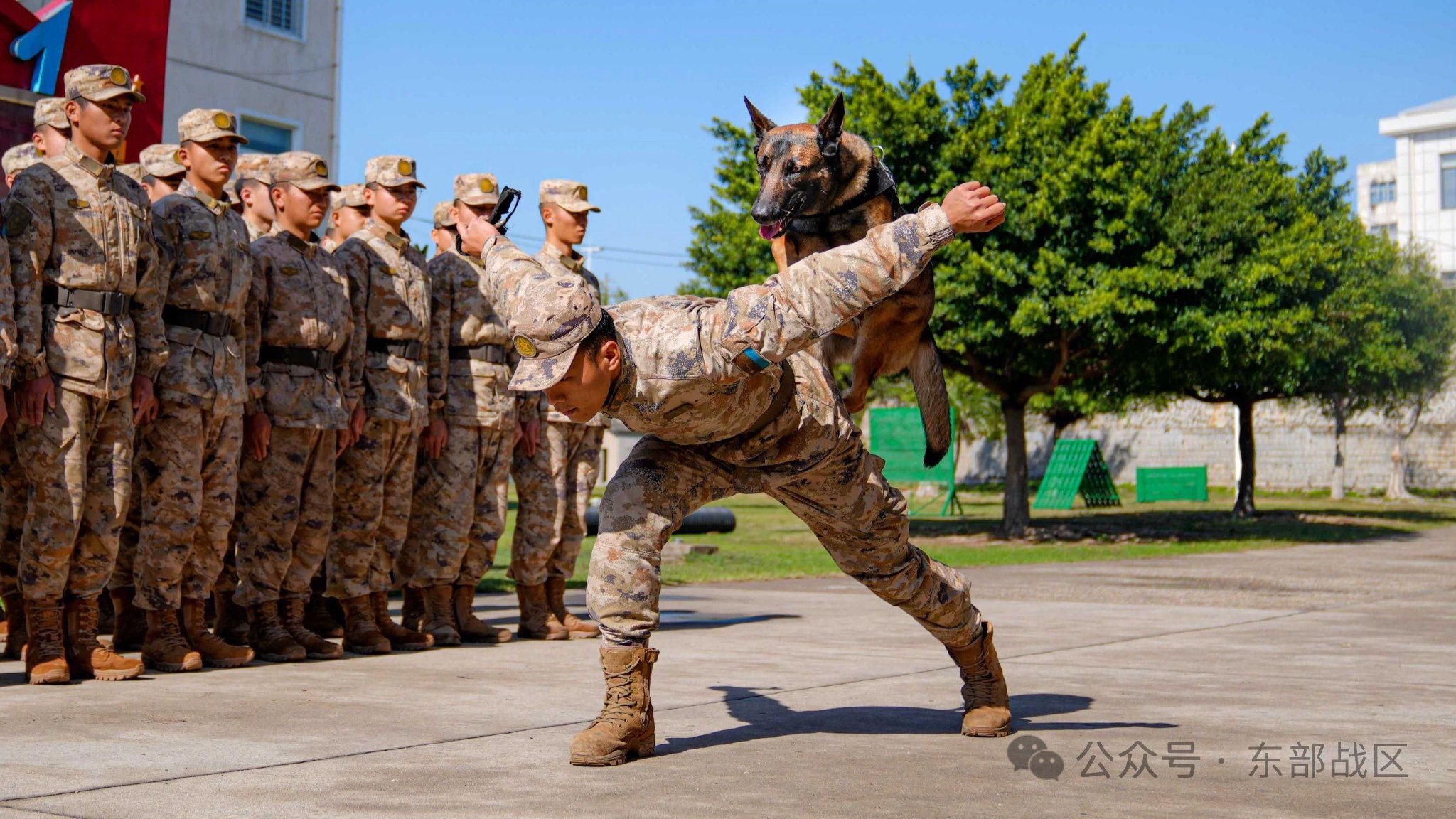 猛龙队队员训练备战,全力以赴 猛龙队队员训练备战,全力以赴