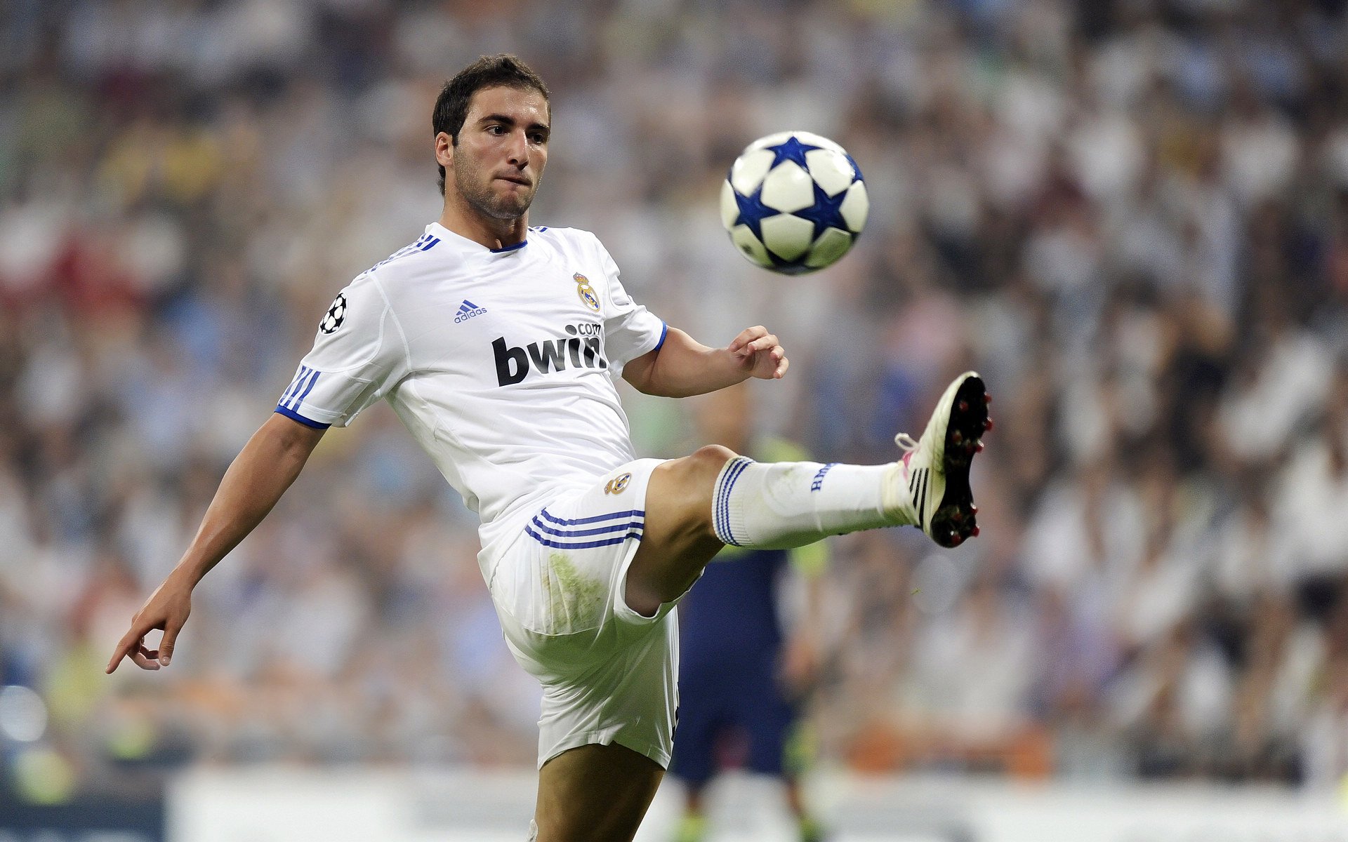 跨界风暴,快船篮下制霸广东,武切维奇疾速接管F1街道赛